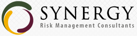 PT Synergy Risk Management